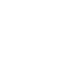 play icon